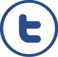 Twitter page icon link